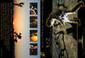 U2 - Earthquake In Rome