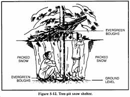 wilderness shelters