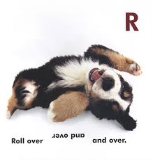 roll over