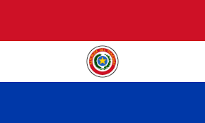 http://t0.gstatic.com/images?q=tbn:c6q46RA8PjnkRM:http://vivirlatino.com/i/2008/01/800px-Flag_of_Paraguay.svg.png