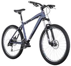 diamondback response sport 2010