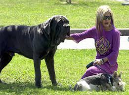 mujer con perro