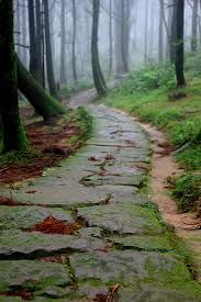 mist wood