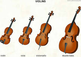 violins