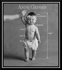 agenda anne geddes