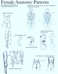 comic anatomy