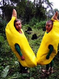 wildboyz