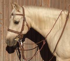 filet poney