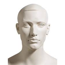male manikin head