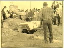 lost bird of wounded knee