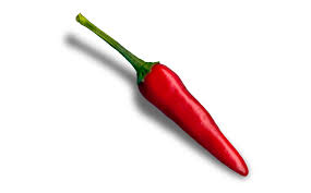 hot chilli