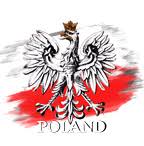 polish tee shirt