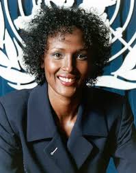 desert flower by waris dirie