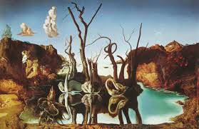 dali swans