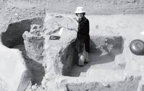 digging up the past