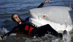 real sharks