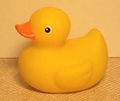 gambar bebek
