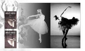 white swan black swan