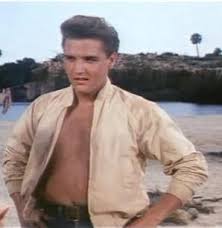 elvis follow that dream