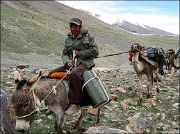 Sherpas leading the party