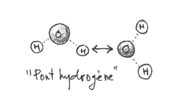 pont hydrogene