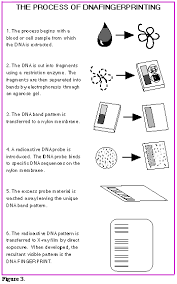 dna finger printing