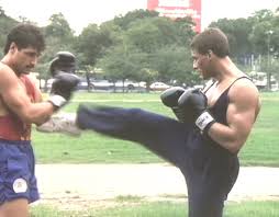 kickboxer