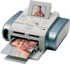 canon ds810