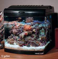aquariums cube