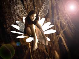celtic fairies