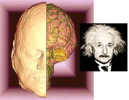 genius brain