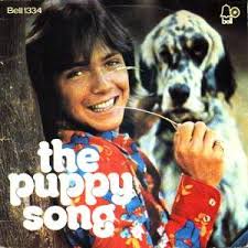 david cassidy album