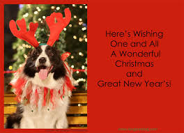 christmas greeting words