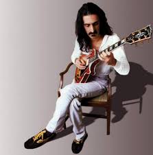 Frank Zappa - Guitar