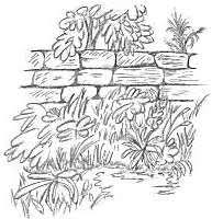 nature drawing