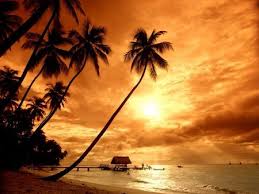 tropical beach backgrounds