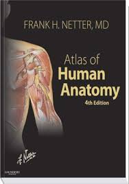 atlas netter