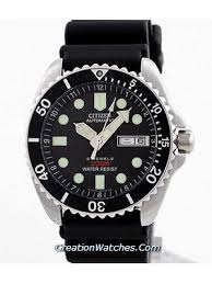 citizen promaster dive