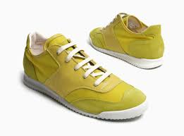 shoe training