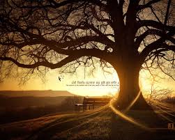 pictures of the soul