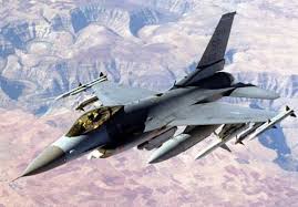 wild weasel