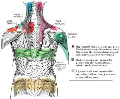 trigger point charts
