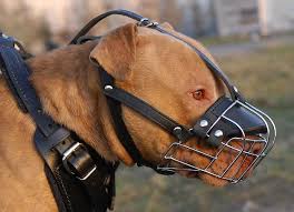 dog basket muzzles
