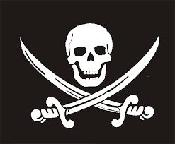 skull and crossbones shirt