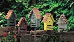 bug house