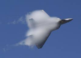 f22 raptor fsx