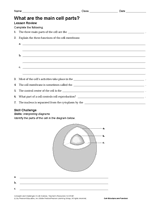 3rd grade place value math flash cards-printable