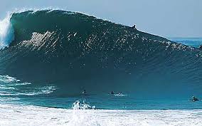 the wedge
