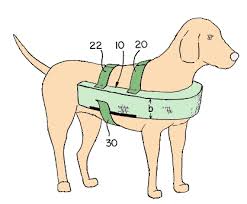 dog bumper