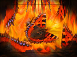 fire world